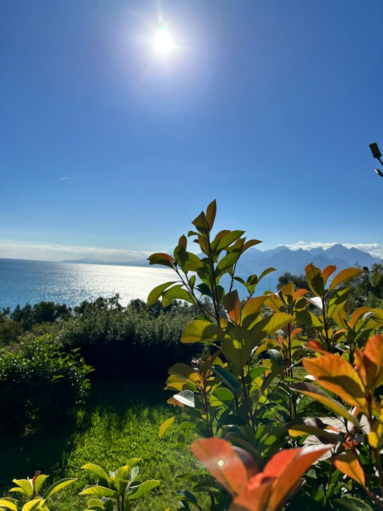 WhatsApp Image 2024-03-25 at 22.42.20 (2)