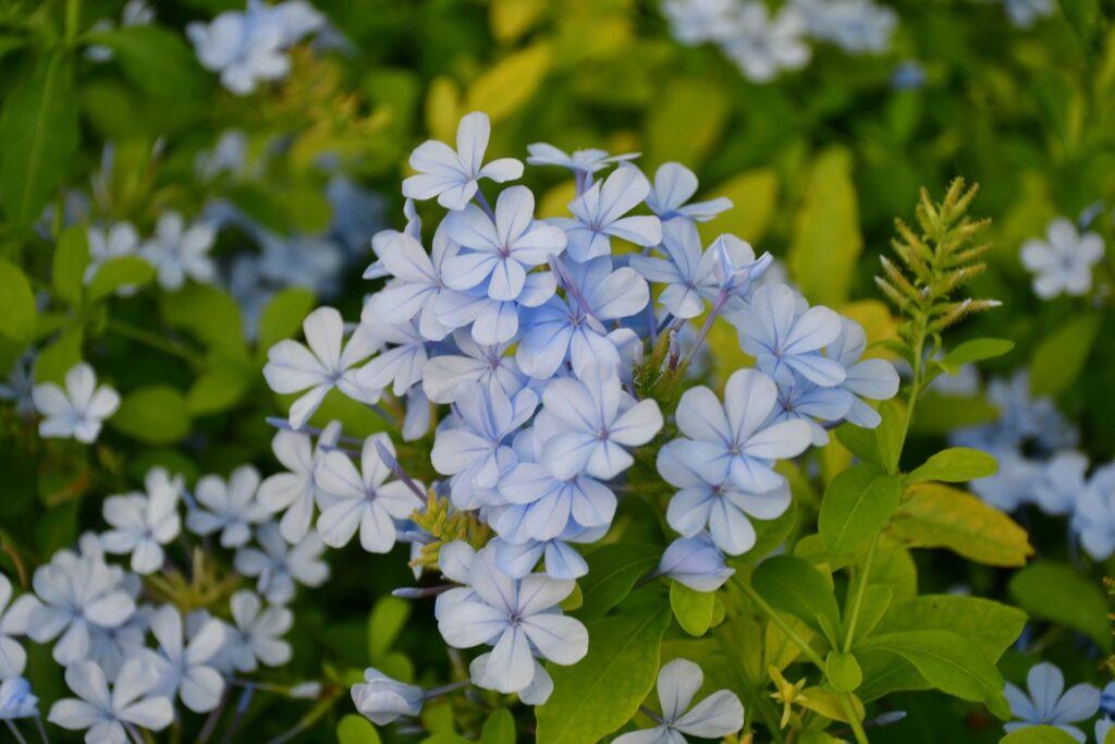 WhatsApp Image 2024-03-25 at 22.42.21 (1)