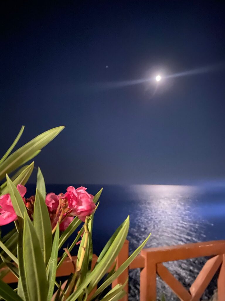 WhatsApp Image 2024-03-25 at 22.42.24 (2)